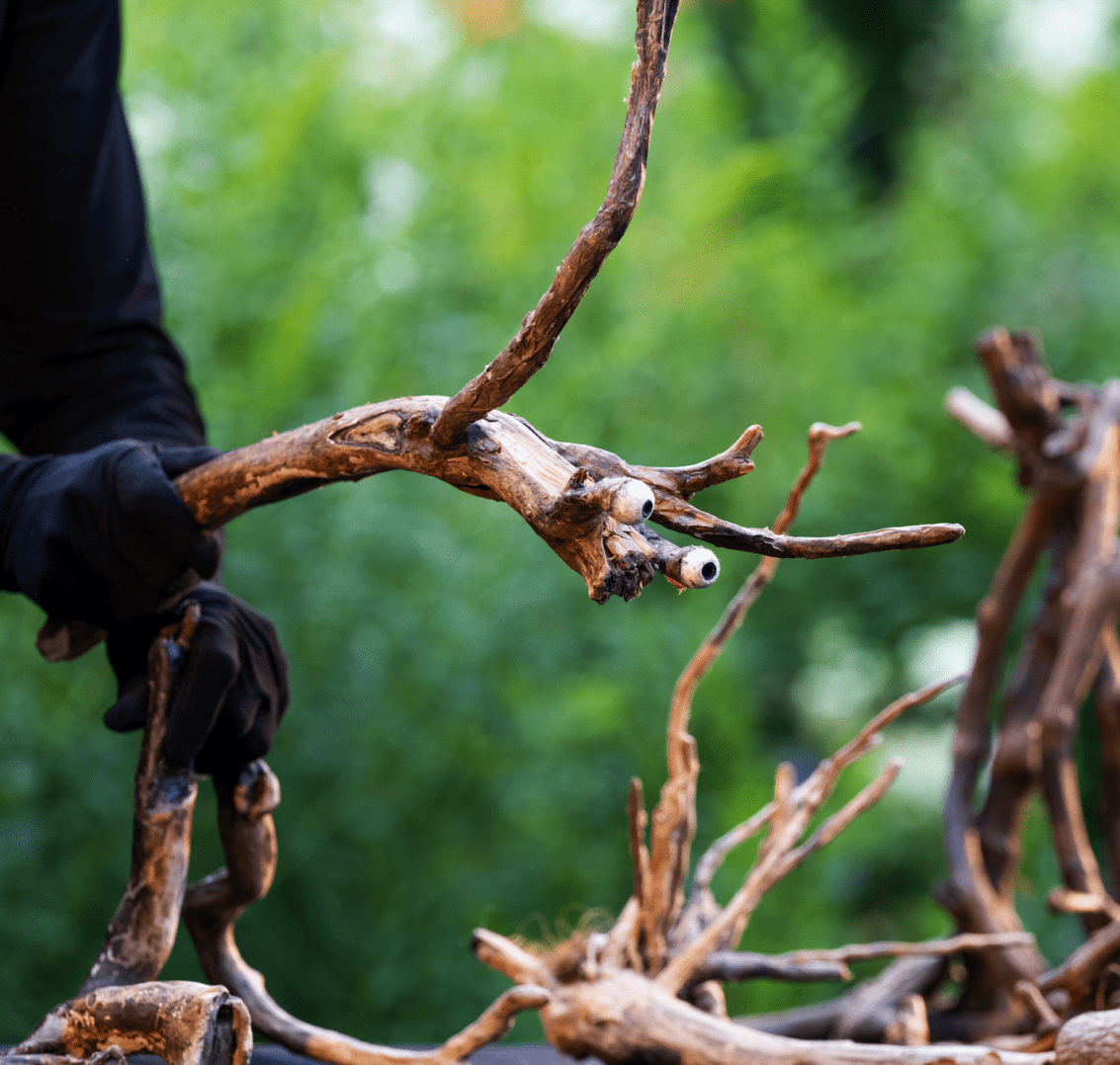Wooden branch monster with googly eyes.